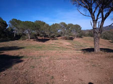 fréjus  loue local 2000 m2 divisible