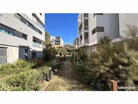 local 56 m² montpellier