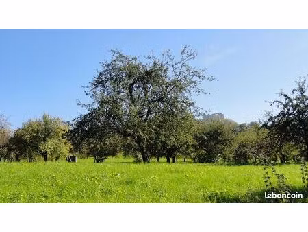 cherche terrain non constructible sur ville au montois   laix   morfontaine   chenieres