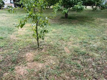 terrain constructible