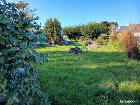 terrain constructible