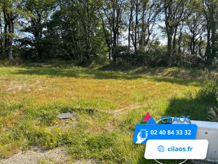 vente terrain à muzillac (56190) : à vendre / muzillac