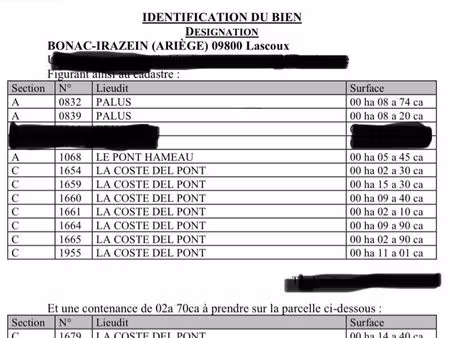 terrain en pré et boisé