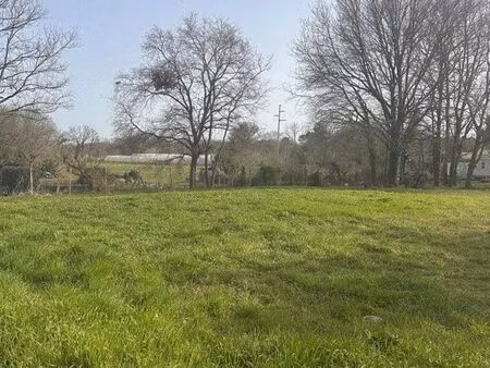 beau terrain constructible 2400 m2