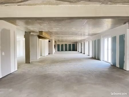 local professionnel neuf 201m² vendenheim
