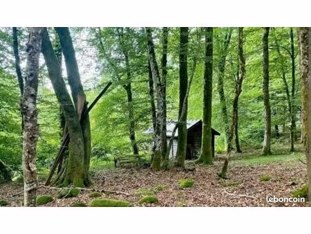 recherche bout de terrain ou jardin d'un particulier