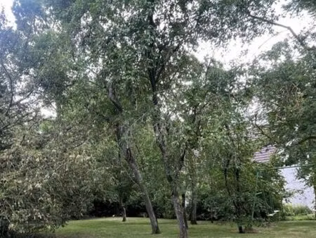 terrain pour construction 5 maisons - permis purgé