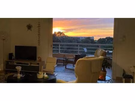 appartement avec terrasse albitreccia (2a)