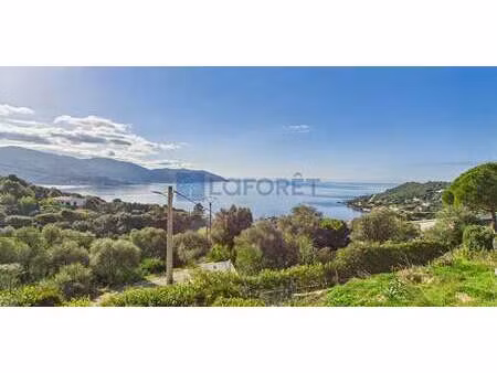 appartement casaglione (2a)