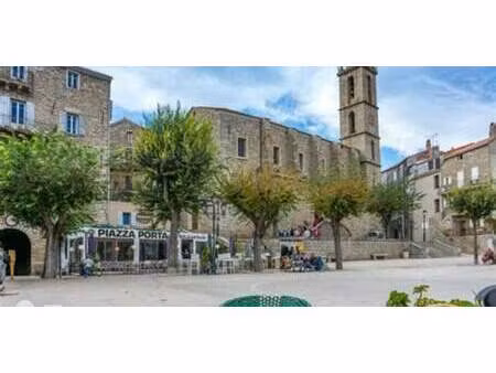 appartement avec terrasse sartene (2a)