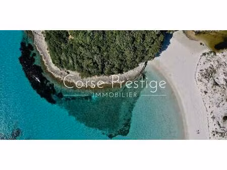 propriété avec piscine bonifacio (2a)