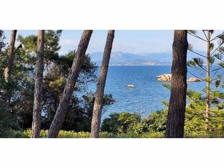 propriété avec piscine et jardin pietrosella (2a)