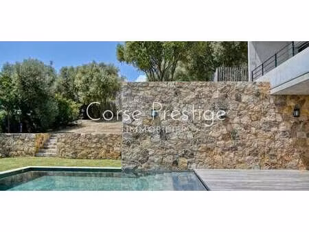 villa avec piscine et terrasse propriano (2a)