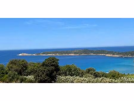 terrain cargese (2a)