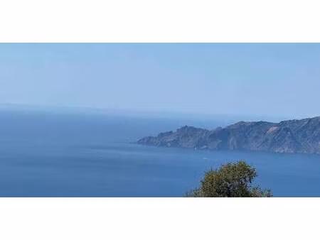 terrain piana (2a)