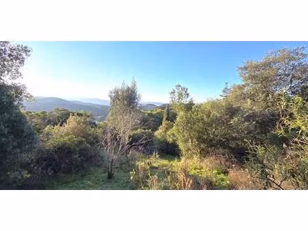 terrain pietrosella (2a)