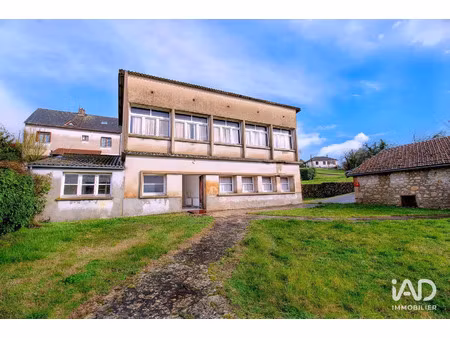 vente commerce 310 m² châtillon-coligny (45230)