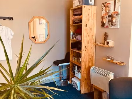 location local professionnel