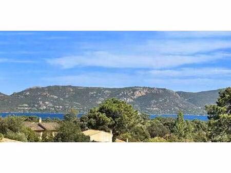 maison avec piscine et jardin porto-vecchio (2a)