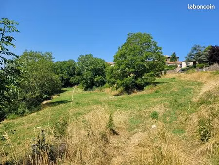 terrain 5 183 m² polignac