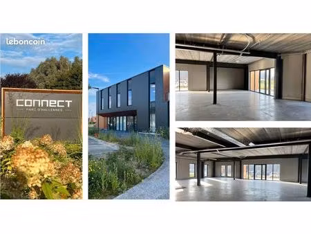 local d'activité 272 m²