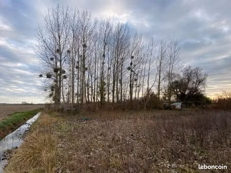 a louer jardin terre saujon (sablonceaux)