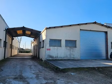 local professionnel – cellule de 193 m² ou 299 m² – accès poids lourds
