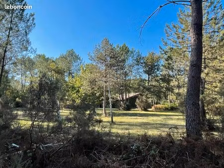 propriété forestière / airial de charme