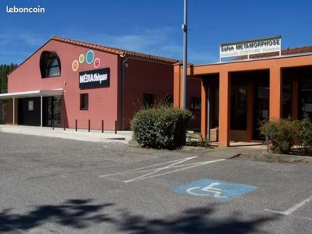 joli local professionnel le fauga