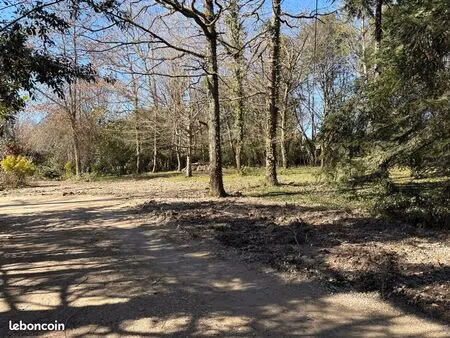 rare – terrain viabilisé 1504 m² cadre boisé – proche bouliac / bordeaux – libre construct