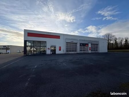 local d'activité 560 m²