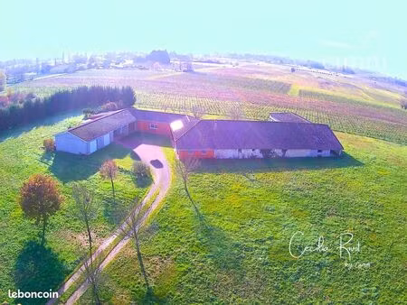 propriété 12 pièces 370 m²