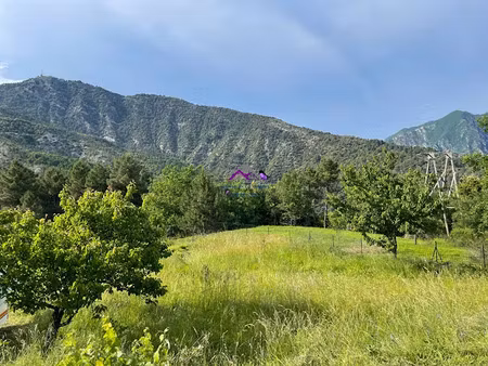vente terrain 1300 m² à breil-sur-roya (06540)  25 000 €