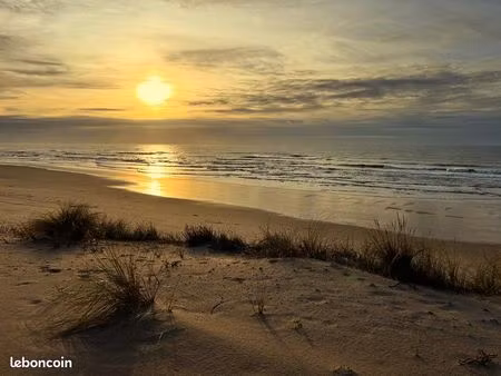 bar restaurant licence iv – océan – opportunité rare – plage médoc