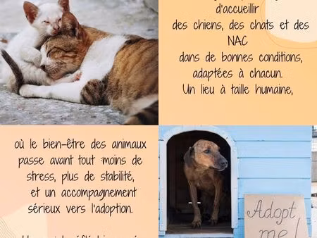 association recherche terrain en gironde pour mini refuge animalier