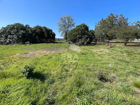 vente terrain 1157 m² à camalès (65500)  39 500 €