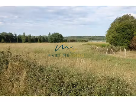 vente terrain à samazan (47250)  46 200 €