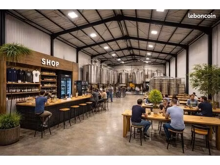 bureaux 1050 m² begles