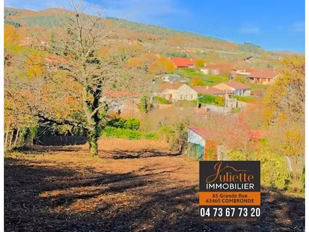 vente terrain 780 m² à combronde (63460)  55 000 €