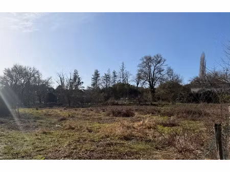 vente terrain 1130 m² à noaillan (33730)  55 000 €