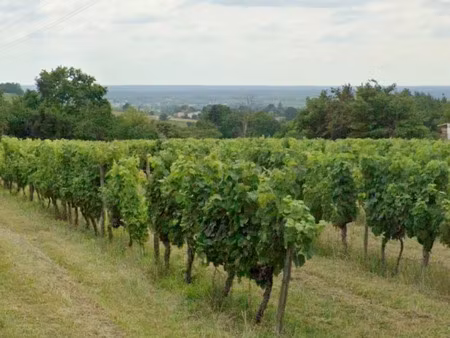 vente terrain 1080 m² à villenave-de-rions (33550)  65 000 €