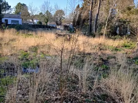 vente terrain 717 m² à soullans (85300)  73 800 €