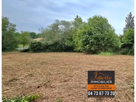 vente terrain 2569 m² à combronde (63460)  79 000 €