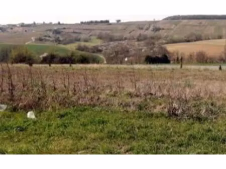 vente terrain à batir 904 m² à chatillon-sur-marne (51700)  76 900 €