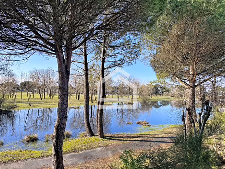 hourtin vue lac exceptionnelle chalet bois en 1ère ligne pa