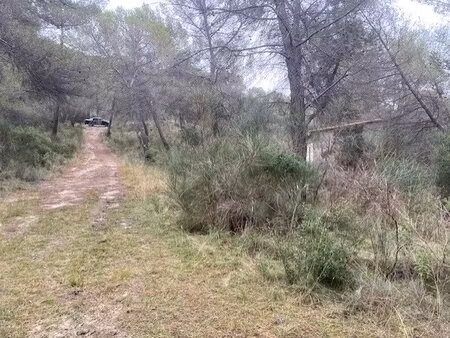 vente terrain 11915 m² peille (06440)