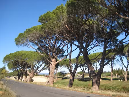 vente terrain 400 m² à sallèles-d'aude (11590)  88 500 €