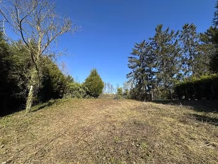 terrain constructible