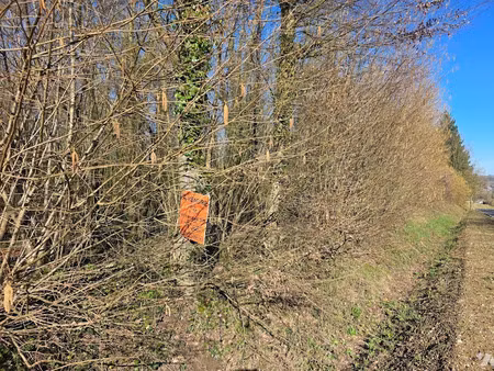 vente terrain à lumbres (62380)  85 000 €