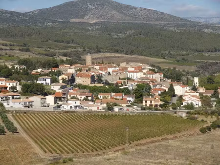 vente terrain 625 m² à cases-de-pène (66600)  125 000 €